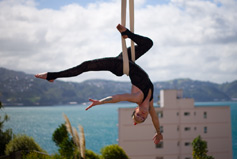 Tanya Drewery in the straps above Wellington harbour 