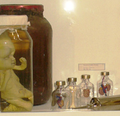 A display of curiousities inside the Gallery of Oddities at the Petone Winter Carnival 2009 